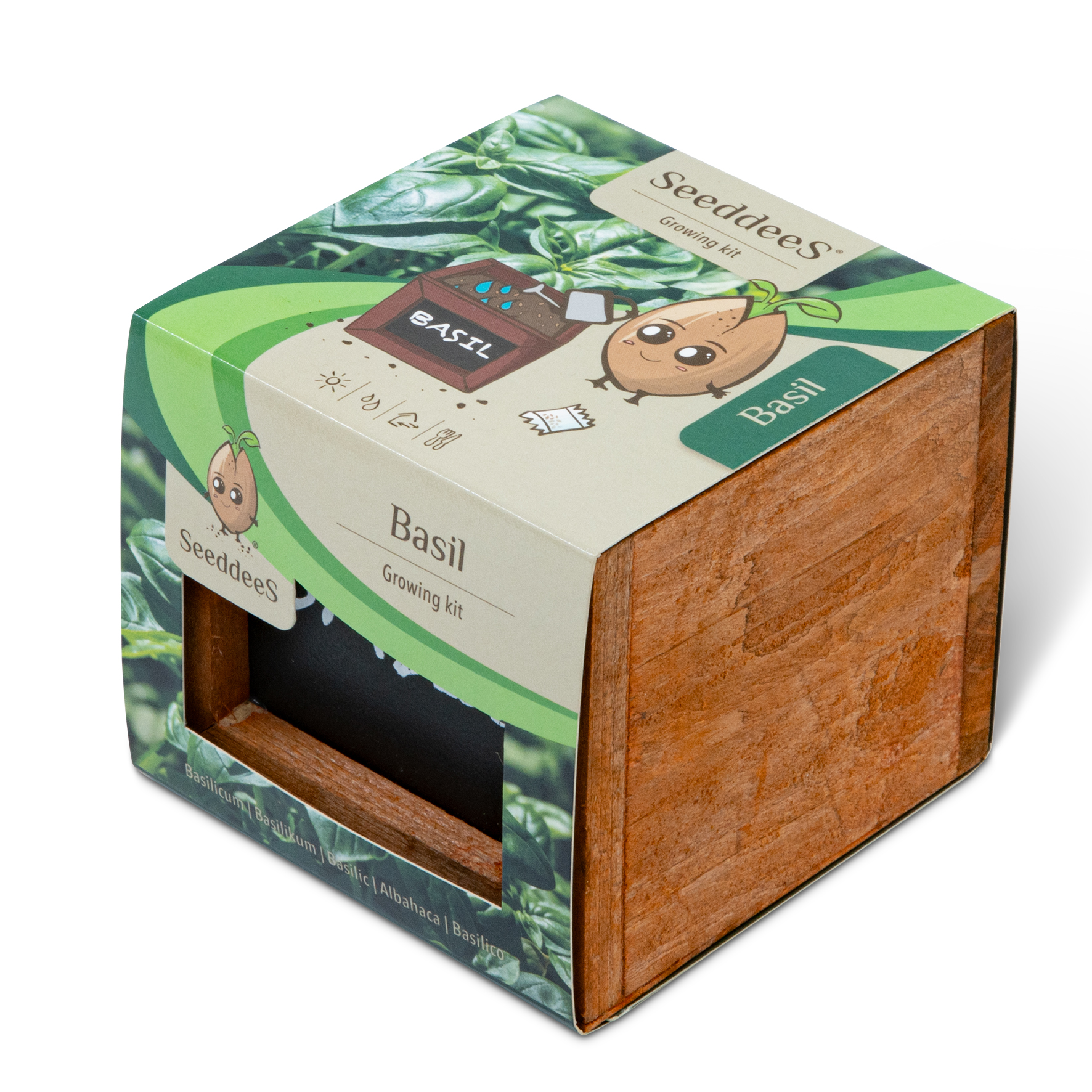 SeeddeeS kweekset houten kist vierkant - Basilicum